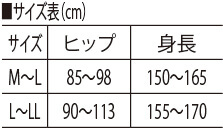 サイズ表