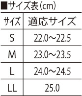 サイズ表