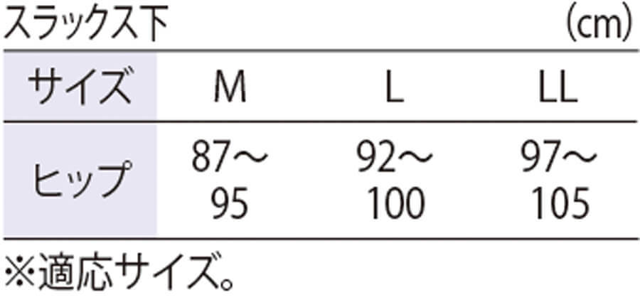 サイズ表