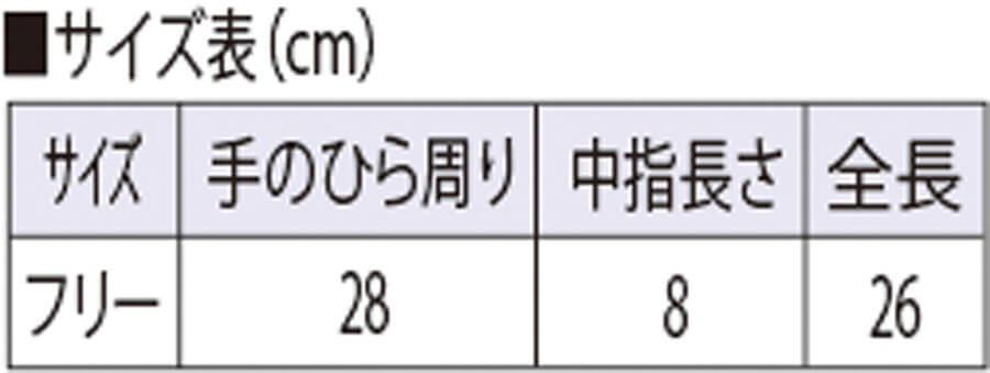 サイズ表