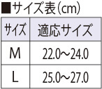 サイズ表