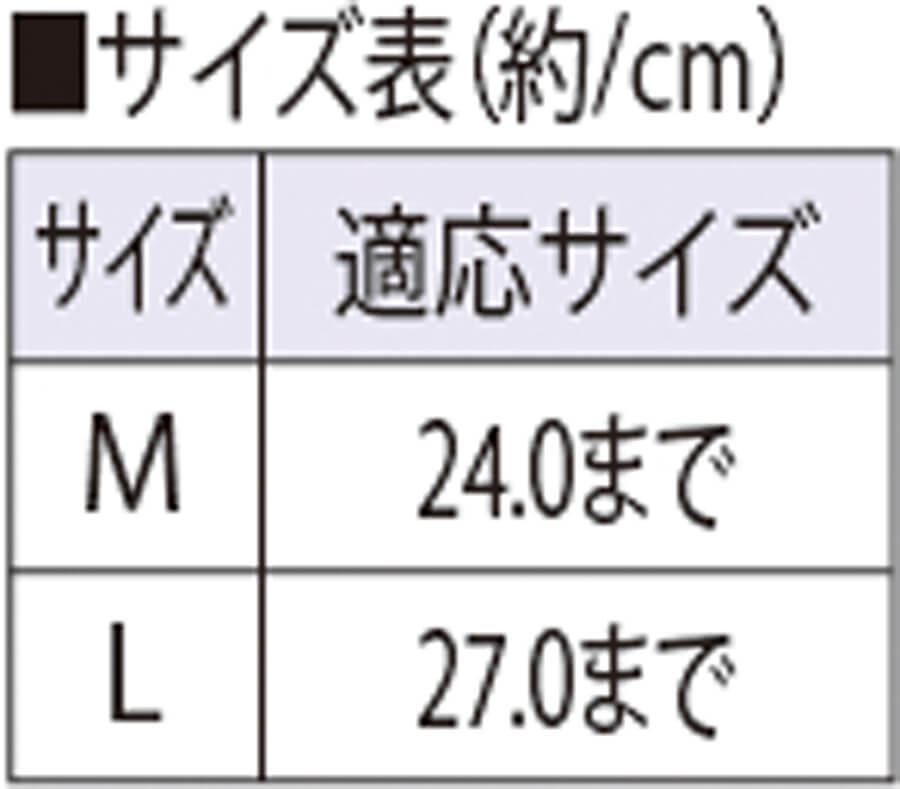 サイズ表
