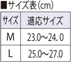 サイズ表