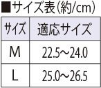 サイズ表