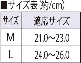 サイズ表