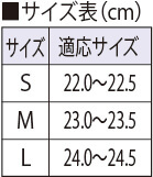 サイズ表