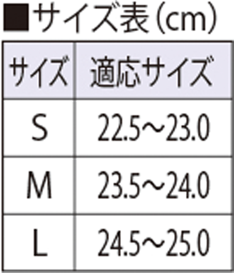 サイズ表