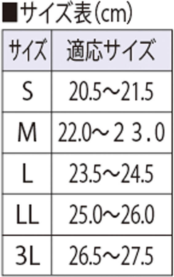 サイズ表