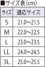 サイズ表