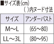 サイズ表