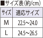 サイズ表