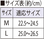 サイズ表