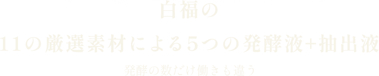 白福の11の厳選素材による5つの発酵液+抽出液 発酵の数だけ働きも違う