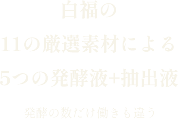 白福の11の厳選素材による5つの発酵液+抽出液 発酵の数だけ働きも違う