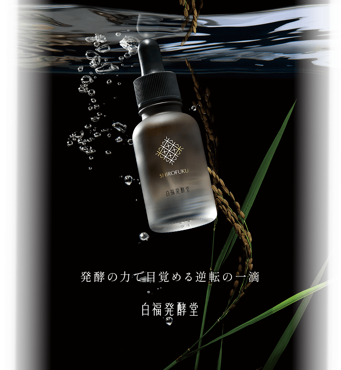 発酵の力で目覚める逆転の一滴 白福発酵堂