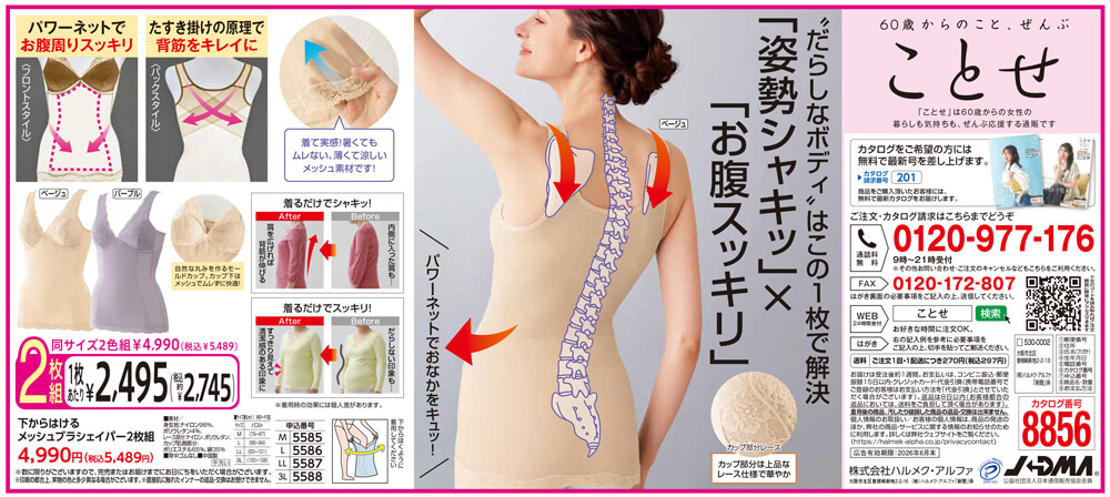 下からはけるメッシュブラシェイパー2枚組