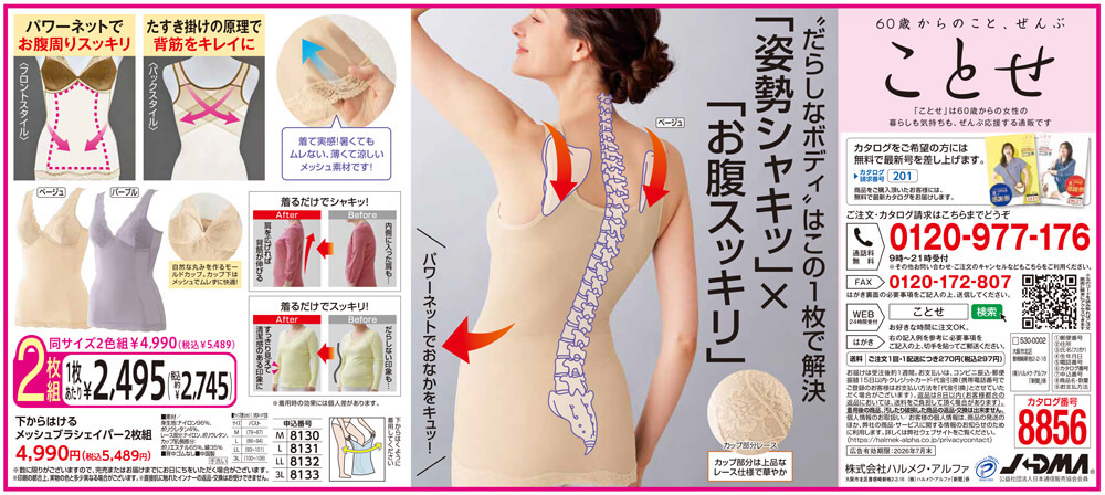 下からはけるメッシュブラシェイパー2枚組