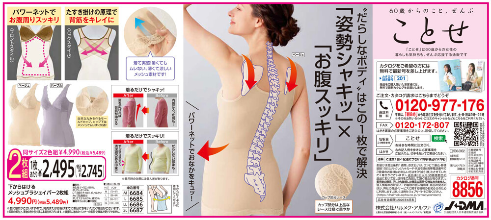 下からはけるメッシュブラシェイパー2枚組