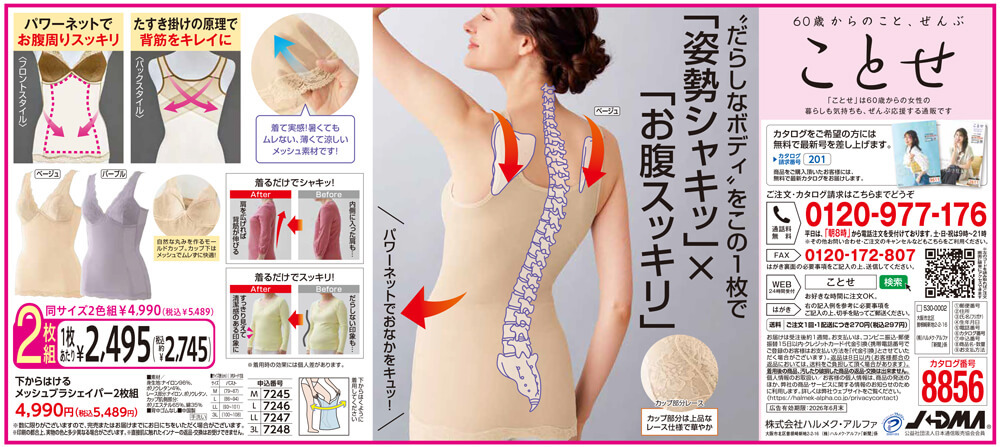 下からはけるメッシュブラシェイパー2枚組