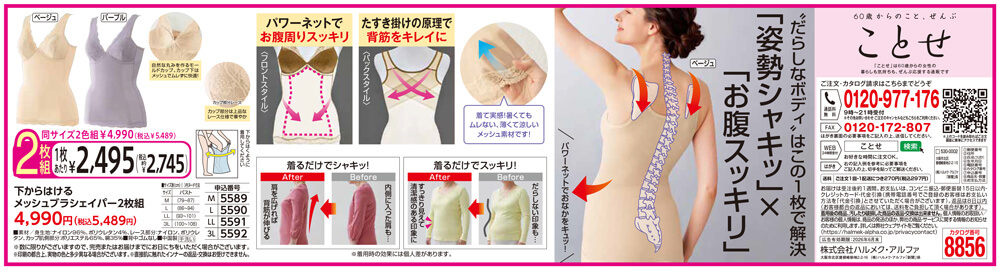 下からはけるメッシュブラシェイパー2枚組